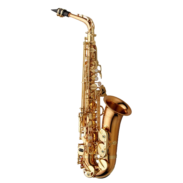 Yanagisawa Professional Alto Saxophone - AWO2