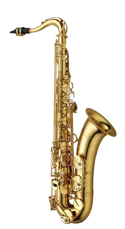 Yanagisawa Professional Tenor Saxophone - TWO1