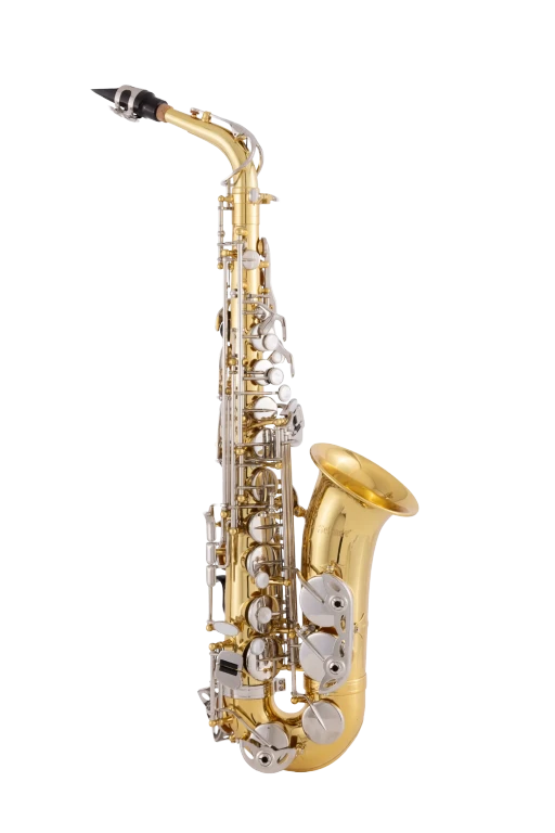 Selmer Student Alto Saxophone - SAS202