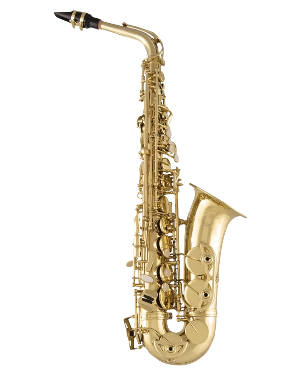 Selmer Professional Alto Saxophone - SAS711