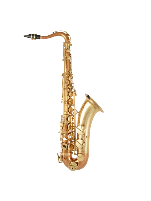 Selmer Intermediate Tenor Saxophone - STS511